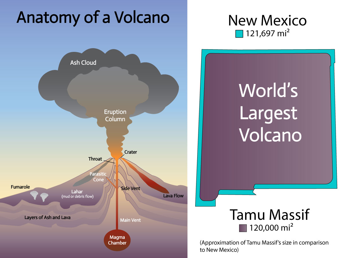 Anatomy of a Volcano Infographic